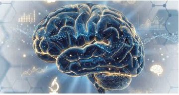 BRAIN-HR-2026-Hütter